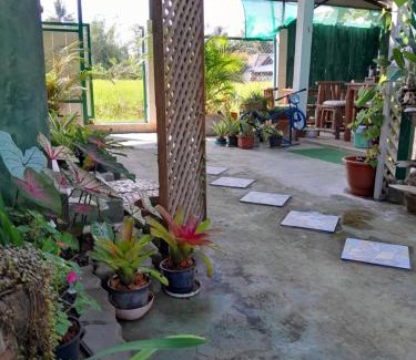San Sai House | บ้านอังกาบ Aungkab homestay
