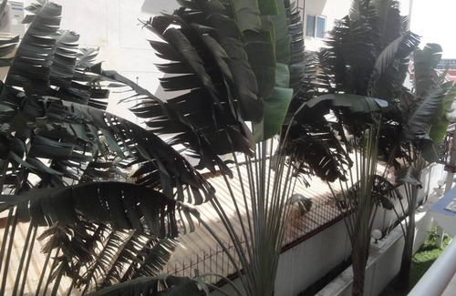 Pratumnak Hill Condo | 1 Bedroom View Swimming Pool 316 Jhr
