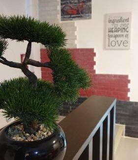 Phra Khanong Hostel | 14 m² Hostel ∙ 2 guests