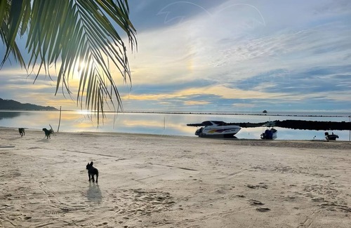 Thong Krut Resort | 14 m² Resort ∙ 2 guests