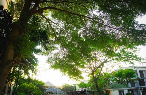 Rangsit Apartment | 17 m² Apartment ∙ 2 guests