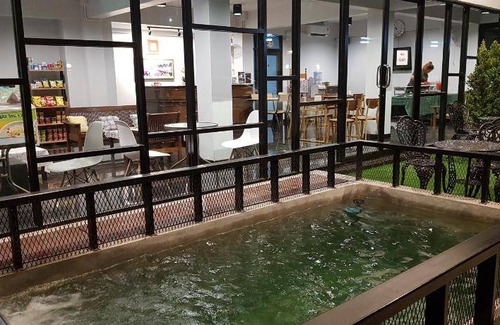 Phitsanulok Hotel | 22 m² Hotel ∙ 2 guests