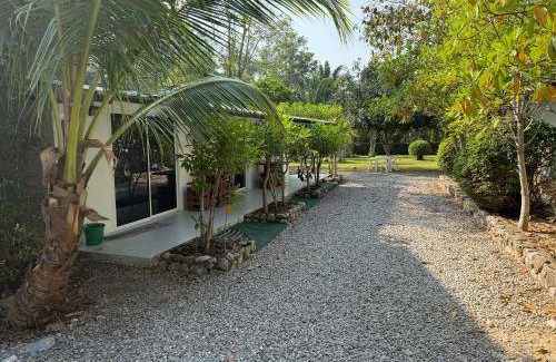 Pathio Hotel | 24 m² Hotel ∙ 2 guests