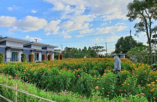 Si Chiang Mai Resort | 24 m² Resort ∙ 3 guests