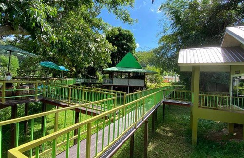 Mok Cham Pae Bed & Breakfast | 30 m² Bed and breakfast ∙ 3 guests