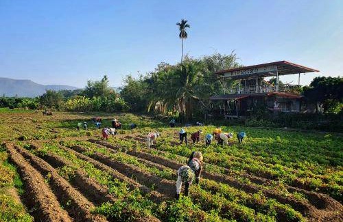 Phrao Hotel | 32 m² Hotel ∙ 3 guests