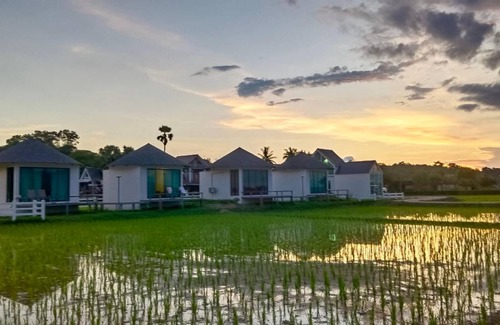 Pua Resort | 32 m² Resort ∙ 2 guests