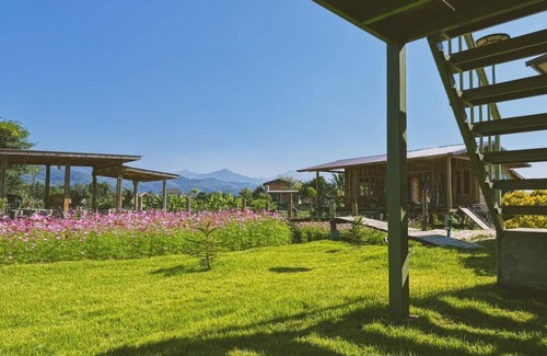 Pua Bed & Breakfast | 50 m² Bed and breakfast ∙ 8 guests