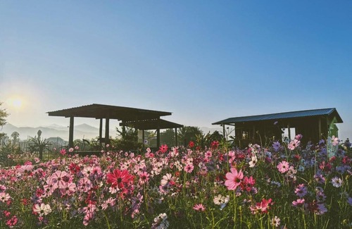 Pua Bed & Breakfast | 50 m² Bed and breakfast ∙ 8 guests