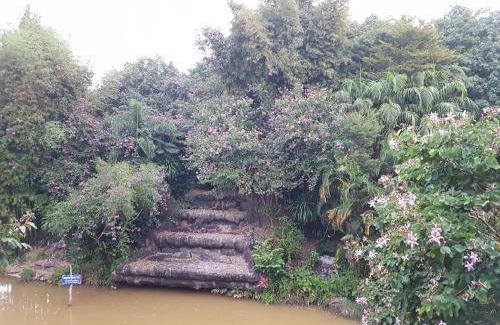 Phu Ruea Resort | 50 m² Resort ∙ 5 guests