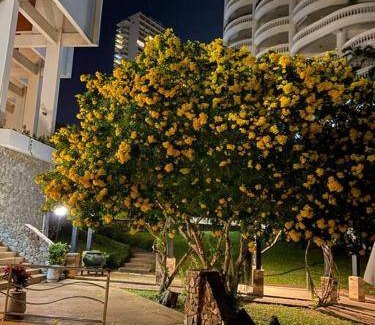 North Pattaya Apartment | 58 m² Apartment ∙ 1 bedroom ∙ 2 guests
