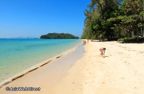 Nong Thale Apartment | At Seacondo-1 Bedroom-A25