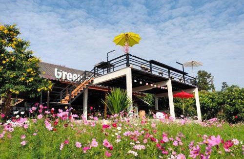 Wiang Pa Pao Bed & Breakfast | Bed and breakfast ∙ 32 guests