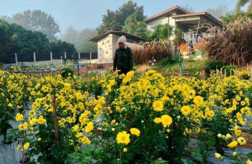 Wiang Pa Pao Bed & Breakfast | Bed and breakfast ∙ 32 guests