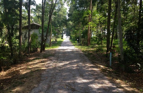 Thong Chai House | Bungalow ∙ 1 bedroom ∙ 1 guest