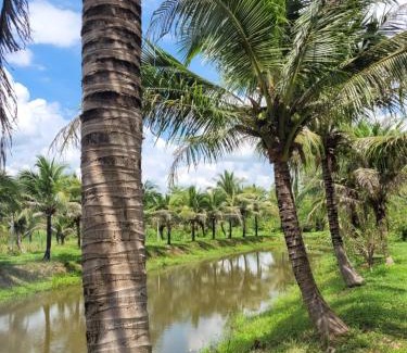 Ban Kluai House | Coco farm stay Suanphueng