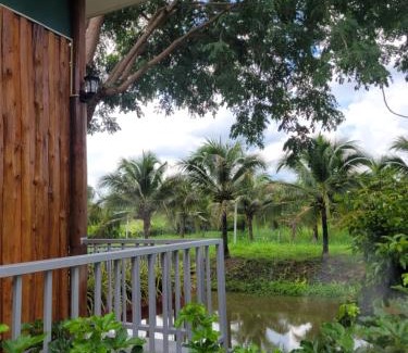 Ban Kluai House | Coco farm stay Suanphueng
