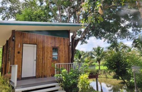 Ban Kluai House | Coco farm stay Suanphueng