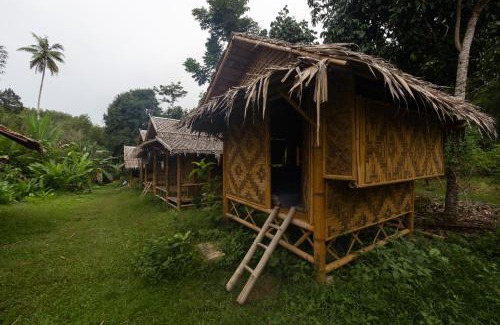 Phanom Other | Gaarawe, Khao Sok, Surat Thani Province, Thailande