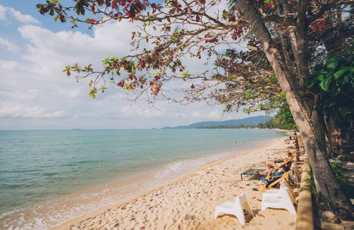 Lipa Noi Hostel | Hostel ∙ 8 guests