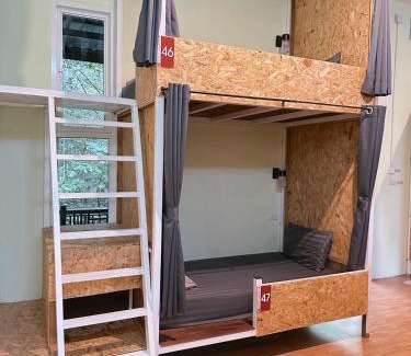 Khlong Sok Hostel | Khaosok Jungle Hostel Branch 2