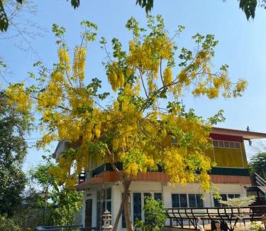 Phichai Hostel | Khun Cham-nan Herb Garden House