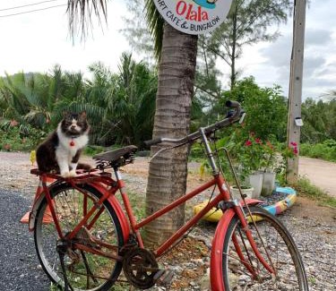Ko Lanta Bed & Breakfast | Olala Cafe and Bungalow