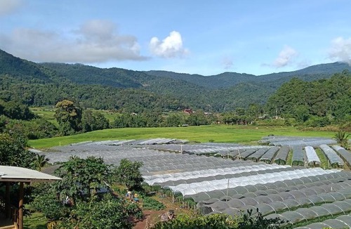 Ban Luang House | จรรยา โฮมสเตย์ แม่กลางหลวง
