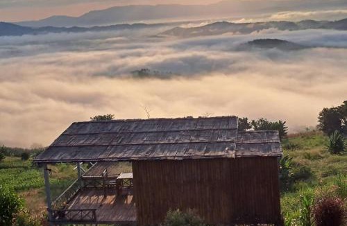 Chiang Saen Other | ดอยสะโง้วิวโฮมสเตย์บ้านริมผา