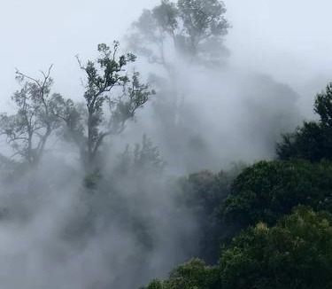 Khao Kho House | ต้นค้อ สวีทโฮม