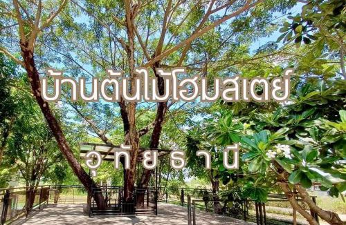 Sakae Krang House | บ้านต้นไม้โฮมสเตย์อุทัยธานี
