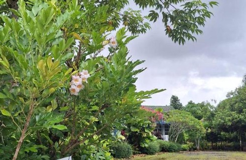 Khlung Hotel | บ้านสวนครูเย็น