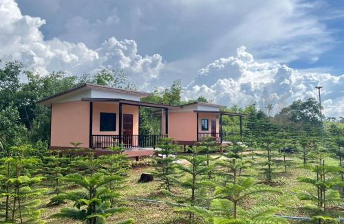 Khao Kho House | บ้านสวนหมอกเขาค้อ b1