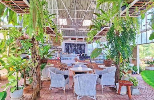 Pak Khlong Resort | ภูผาหน้าเล PhuPha-NaLay Cafe'n Camping