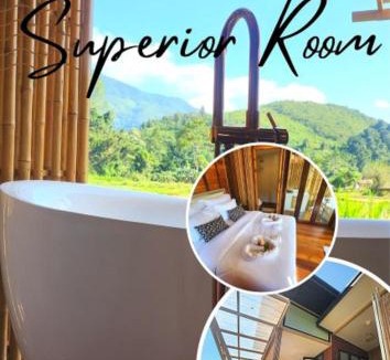 Bo Kluea Hotel | สะปัน กลางนา คาเฟ่ Sapan Klang Na Cafe