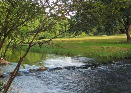 Suan Phueng Other | สุขเสมอ แคมป์ปิ้ง สวนผึ้ง