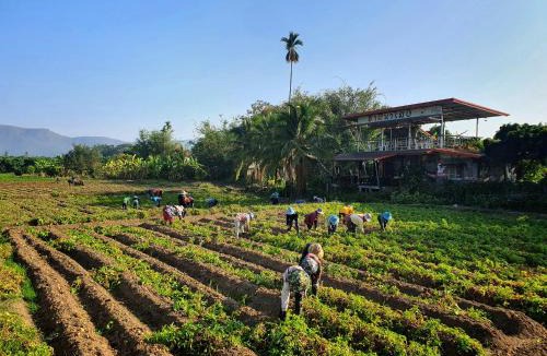 Phrao Hotel | ฮามีนาเม็ง