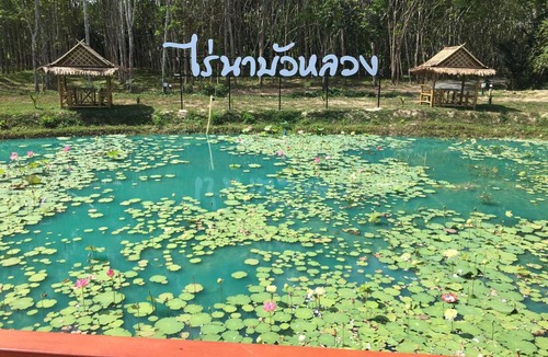 Thung Song Other | ไร่นาบัวหลวง คาเฟ่ & ฟาร์มสเตย์ RaiNa BuaLuang Cafe & Farm Stay