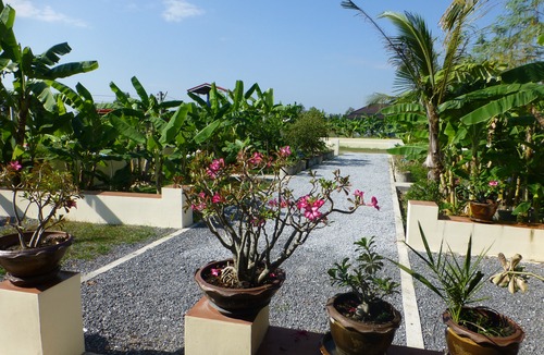 Chiang Wang Hotel | 1 Bedroom Pool Villa Tropical Fruit Garden Fast Wifi Smart Tv