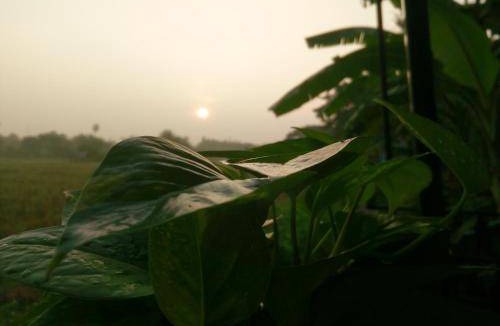 Mueang Nga Bed & Breakfast | 12 m² Bed and breakfast ∙ 3 guests