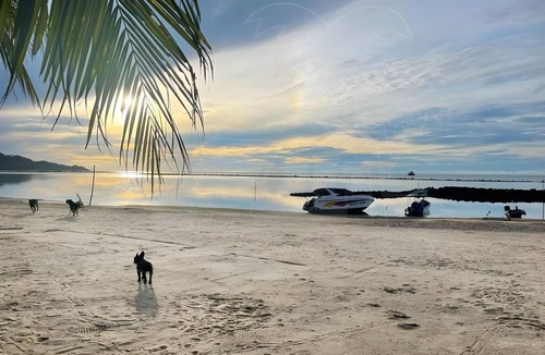 Thong Krut Resort | 14 m² Resort ∙ 2 guests