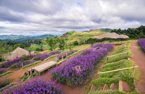 Mae Rim House | 16 m² House ∙ 2 guests