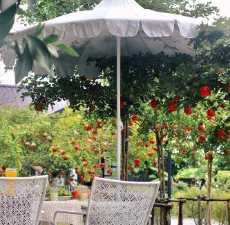 Phrae Bed & Breakfast | 18 m² Bed and breakfast ∙ 2 guests