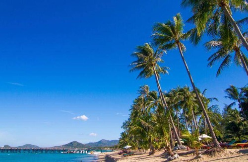 Mae Nam Resort | 200 m² Resort ∙ 2 bedrooms ∙ 127 guests