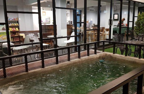 Phitsanulok Hotel | 22 m² Hotel ∙ 2 guests