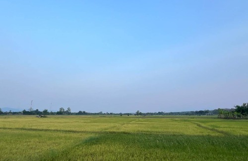 Mae Taeng Bed & Breakfast | 25 m² Bed and breakfast ∙ 2 guests