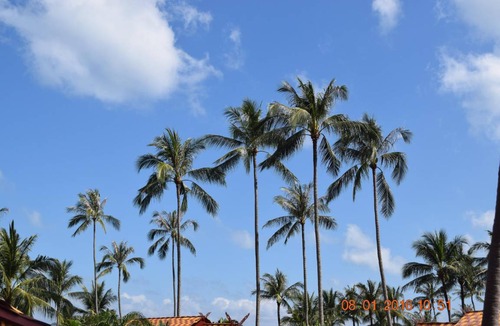 Bang Po Villa | 250 m² Villa ∙ 3 bedrooms ∙ 6 guests
