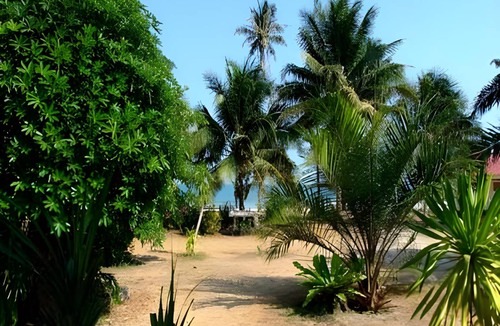 Saphli Resort | 26 m² Resort ∙ 3 guests