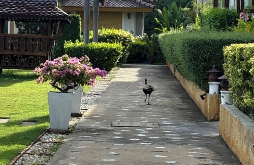 Pranburi Villa | 30° in February nestles into the Khao Tao mountains