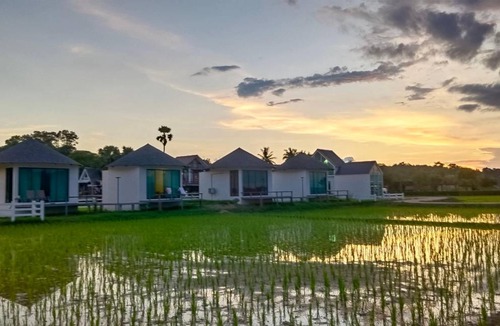 Pua Resort | 32 m² Resort ∙ 2 guests